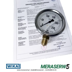 M100R/G 0-250BAR WIKA PCA str1